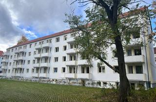 Wohnung mieten in Springseeweg, 15859 Storkow, Kernsanierte 1-Raum-Wohnung im wunderschönen Limsdorf, Storkow (Mark)