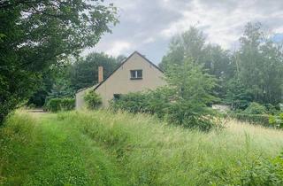 Grundstück zu kaufen in 02956 Rietschen, Traumhaftes Grundstück mit viel Potenzial!