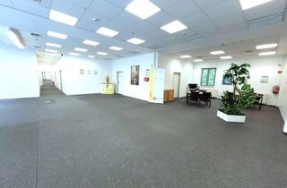 Büro zu mieten in Fontaneplatz, 15711 Königs Wusterhausen, 613 m² Büro - Praxis - Fitness - Callcenter - Fläche in belebter Passage