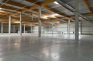 Gewerbeimmobilie mieten in 64521 Groß-Gerau, Ca. 15.000 qm Logistikneubau | Rampe + ebenerdig | ca. 10,00 m UKB