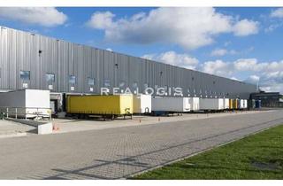 Gewerbeimmobilie mieten in 61191 Rosbach, Ca. 15.000 qm Lager- / Logistikfläche | Rampe + ebenerdig | ca. 10,00 m UKB