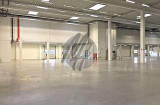 Büro zu mieten in 63477 Maintal, SCHNELL VERFÜGBAR ✓ RAMPE + EBEN ✓ Lager-/Logistik (8.000 m²) & Büro (1.000 m²) zu vermieten