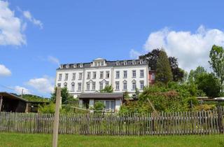 Anlageobjekt in Floßmühle, 09579 Borstendorf, Wunderschöne Villa mit 20 Wohnungen und 13 Garagen zu verkaufen!