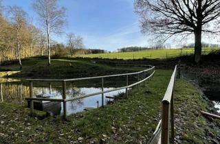 Grundstück zu kaufen in 57632 Flammersfeld, Freizeitgrundstück mit Teichanlage inkl. Wasserrechten