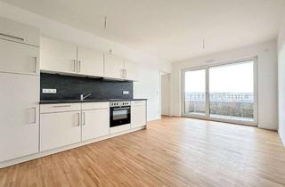 Wohnung mieten in 99423 Nordvorstadt, Erstbezug: 2-Zimmer-Appartement mit Südbalkon und EBK