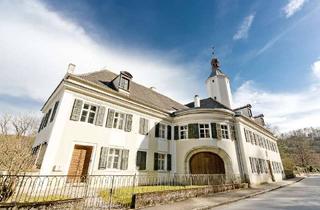 Haus kaufen in 93152 Nittendorf, Denkmalgeschützes Schloss im Regensburger Umland!