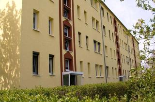 Wohnung mieten in Clara-Zetkin-Straße, 01993 Schipkau, Schöne sanierte 3-Raum-Wohnung