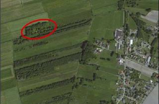 Grundstück zu kaufen in Wersaber Moor, 27628 Sandstedt, Alleinlage grosses Grundstück mit Baurecht direkt von Privat
