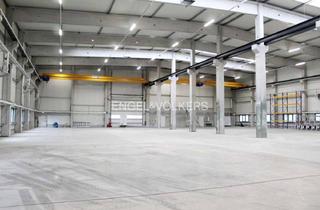 Anlageobjekt in 68766 Hockenheim, MODERNE BESTANDSHALLE DIREKT AN DER BAB