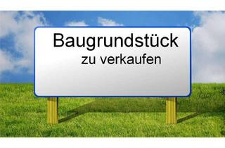 Grundstück zu kaufen in 25551 Hohenlockstedt, Hohenlockstedt - Baugrundstück zu verkaufen