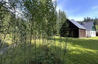 Haus kaufen in 08309 Eibenstock, Idyllisches Chalet auf großem Waldgrundstück mit Bachverlauf im Erzgebirge