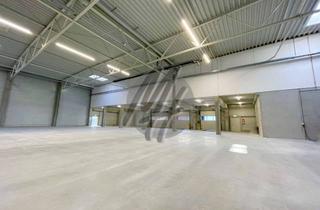 Büro zu mieten in 63128 Dietzenbach, KEINE PROVISION ✓ RAMPE + EBEN ✓ Moderne Lagerflächen (800 m²) & Büroflächen (250 m²) zu vermieten