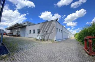 Büro zu mieten in 63762 Großostheim, KEINE PROVISION ✓ Lager-/Produktion (4.400 m²), Büro (250 m²) & Ausstellung (550 m²) zu vermieten