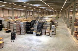 Büro zu mieten in 64832 Babenhausen, RAMPE + EBEN ✓ 24/7-Nutzung ✓ Lager-/Logistik (13.000 m²) & Büro (6.000 m²) zu vermieten