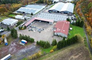 Gewerbeimmobilie mieten in 56220 Bassenheim, ca. 16.500 qm Lager- / Logistikflächen | Rampe + ebenerdig | ca. 5,00 m - 9,50 m UKB