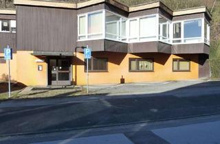 Wohnung kaufen in 37539 Bad Grund (Harz), Wohn- und Praxishaus: im Paket-Schnäppchen von 410 m2