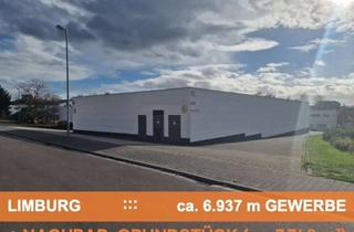 Gewerbeimmobilie kaufen in 65549 Limburg, GEWERBE-KOMPLEX mit INDIVIDUELLEN NUTZUNGUNGSMÖGLICHKEITEN + TOP-ANBINDUNG