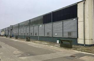 Gewerbeimmobilie mieten in Fürstenwalder Str. 7b, 15528 Spreenhagen, Lagerhalle ca. 70 qm. Zwei gegenüberliegende Tore. Durchfahrt möglich.