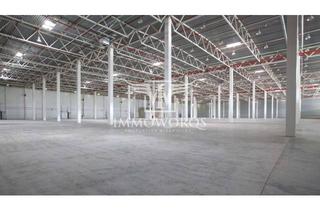 Gewerbeimmobilie mieten in 71126 Gäufelden, Neubauprojekt-Produktions-/Lagerhalle**provisionsfreie Vermietung**