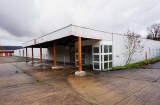 Gewerbeimmobilie mieten in 34346 Hann. Münden, Halle mit zwei ebenerdigen Toren sowie Erweiterungsmöglichkeiten im Gewerbepark Hann. Münden!