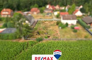 Grundstück zu kaufen in 29359 Habighorst, Baugrundstück mit unverbautem Blick übers Feld! (SY-6106)