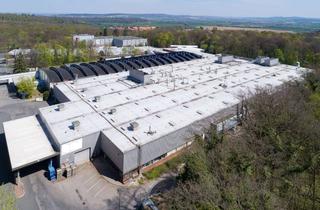 Büro zu mieten in Robert-Bosch-Straße 200, 31139 Hildesheim, Lager- und Produktionshalle mit Bürofläche im Gewerbepark Hildesheimer Wald (Gebäude 152)