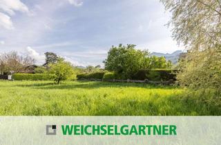 Grundstück zu kaufen in 83224 Grassau, Begehrtes Baugrundstück am Kurpark Grassau