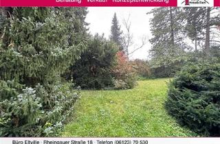 Grundstück zu kaufen in 65346 Eltville am Rhein, Seltene Gelegenheit! Großes schönes Baugrundstück in Eltville-Erbach