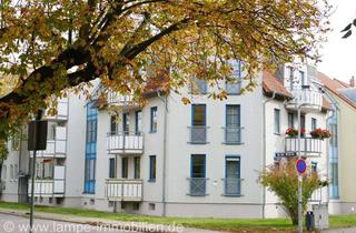 Wohnung kaufen in 39340 Haldensleben, 2 Raum Wohnung als Kapitalanlage Eigennutzung geeignet- modern, gute Anbindung, ruhige Lage