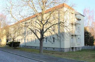 Wohnung mieten in Straße Der Einheit 12, 01917 Kamenz, Kinder willkommen - großzügige Erdgeschosswohnung im Grünen zu vermieten!