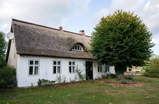 Bauernhaus kaufen in 17375 Luckow, Allein-Lage Top-saniertes Bauernhaus mit FeWo, Scheunen, Pferdestall & Koppel 60.000 m²