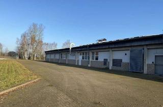 Gewerbeimmobilie mieten in 19306 Brenz, Verkehrsgünstige Lagerhalle in Brenz zu vermieten