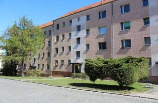 Wohnung mieten in Geschwister-Scholl-Straße 14, 01917 Kamenz, 1-Raumwohnung mit Miniküche in zentraler Lage