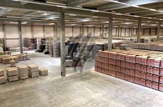 Büro zu mieten in 63225 Langen (Hessen), KEINE PROVISION ✓ RAMPE + EBEN ✓ Lager-/Logistik (9.000 m²) & Büro (7.500 m²) zu vermieten