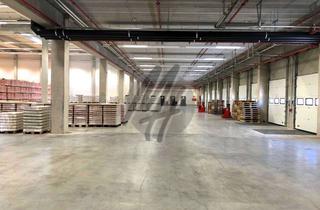 Büro zu mieten in 63225 Langen, KEINE PROVISION ✓ RAMPE + EBEN ✓ Lager-/Logistik (9.000 m²) & Büro (2.000 m²) zu vermieten