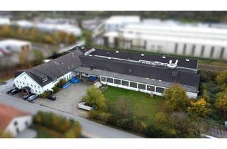 Gewerbeimmobilie kaufen in 34414 Warburg, Großzügige Produktions- & Lagerflächen