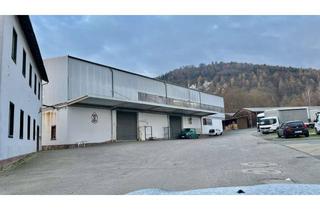 Gewerbeimmobilie mieten in Fabrikweg 11, 63916 Amorbach, 7000qm Lagerhalle an der B469 Logistik, Produktion