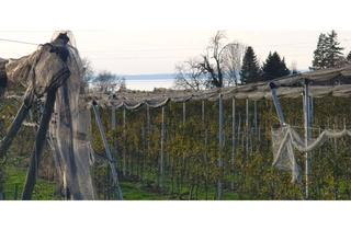 Gewerbeimmobilie kaufen in 88131 Lindau, Landwirtschaftlich genutztes Grundstück am bayerischen Bodensee; Teilseesicht