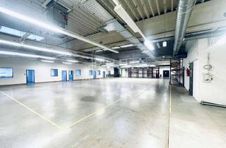 Gewerbeimmobilie mieten in 53797 Lohmar, Hallenfläche/ Showroom | 800 m² | RUHR REAL