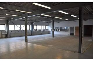 Gewerbeimmobilie mieten in 72793 Pfullingen, Lager-/Produktionsflächen in Top-Lage ab sofort zu vermieten