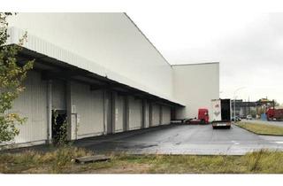Gewerbeimmobilie mieten in Industriestr. D13-H4, 01619 Zeithain, Logistikfläche in zentraler Lage in Zeithain
