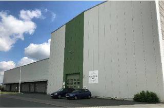 Gewerbeimmobilie mieten in Industriestr. D13-H4, 01619 Zeithain, Logistikfläche in zentraler Lage in Zeithain