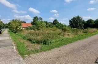 Grundstück zu kaufen in 15328 Alt Tucheband, Baugrundstück für ihr neues Zuhause im Grünen zum Entspannen!