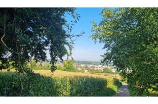 Grundstück zu kaufen in 76547 Sinzheim, * Landwirtschaftliche Fläche mit Potential für die Zukunft *