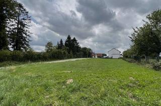 Grundstück zu kaufen in Johann-Wisrich-Str. 70, 86450 Altenmünster, Großes Baugrundstück mit unverbaubarem Blick in die Natur + Glasfaser