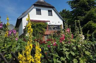 Haus kaufen in 18565 Insel Hiddensee, Inselfeeling pur – idyllisches Reetdachhaus mit zwei zusätzlichen Ferienwohnungen und Nebengelass