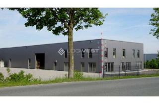 Gewerbeimmobilie mieten in 48683 Ahaus, Moderne Logistikhalle nahe der holländischen Grenze