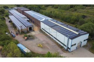 Gewerbeimmobilie kaufen in 39365 Harbke, Gewerbehallen auf ca. 20.000 m² Grundstück in 39365 Harbke PROVISIONSFREI zu vermieten o. verkaufen