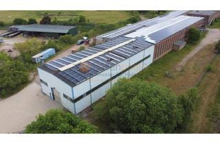 Gewerbeimmobilie kaufen in 39365 Harbke, Gewerbehallen auf ca. 20.000 m² Grundstück in 39365 Harbke PROVISIONSFREI zu verkaufen
