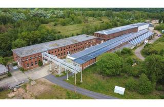 Gewerbeimmobilie kaufen in 39365 Harbke, Gewerbehallen auf ca. 20.000 m² Grundstück in 39365 Harbke PROVISIONSFREI zu vermieten o. verkaufen